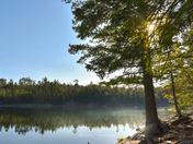 Apache-Sitgreaves National Forest