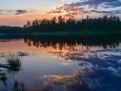 Apache-Sitgreaves National Forest