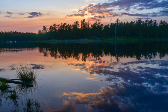 Apache-Sitgreaves National Forest