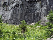 Glacier National Park