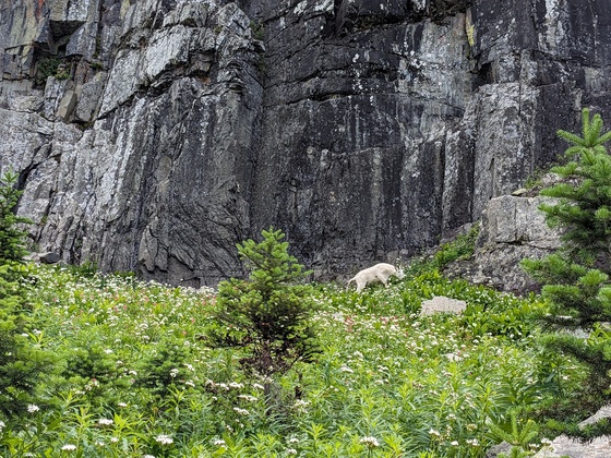 Glacier National Park