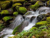 Sol Duc Trailhead