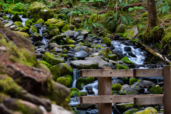 Sol duc trailhead