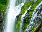 Willamette National Forest