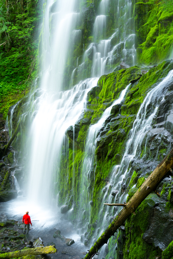 Willamette National Forest