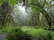 Olympic National Park 