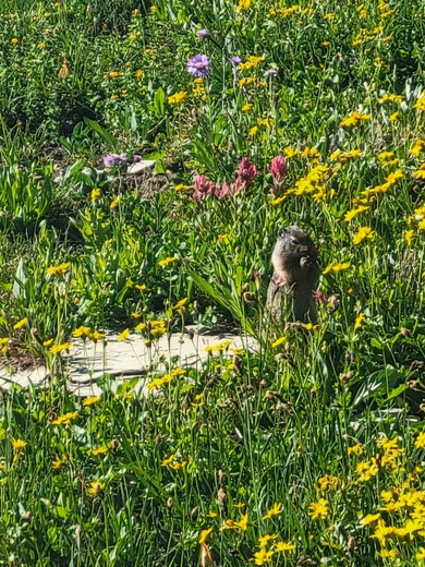Glacier National Park