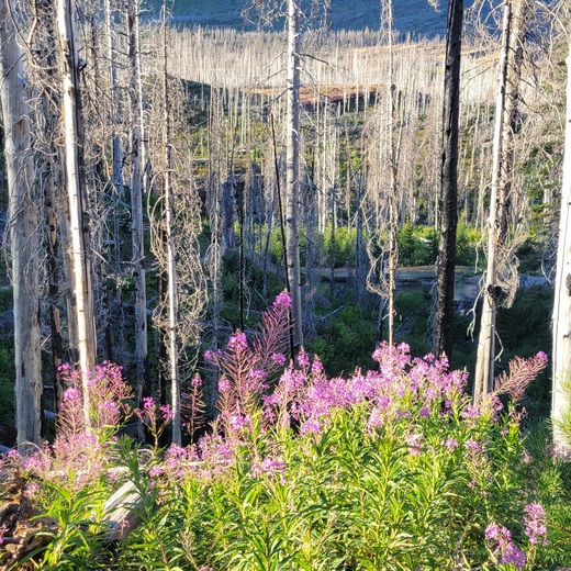 Glacier National Park