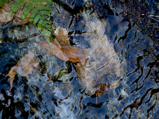 Shenandoah National Park