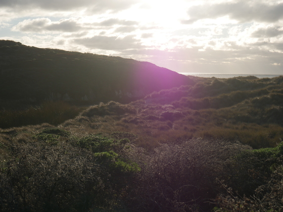 Point Reyes National Seashore, California