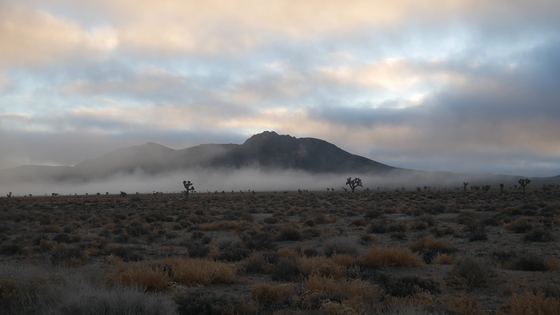 Death Valley National Park