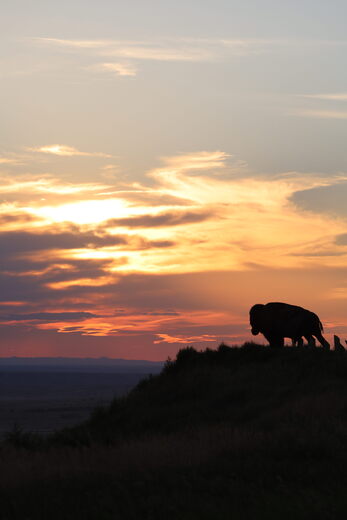 Badlands National Park