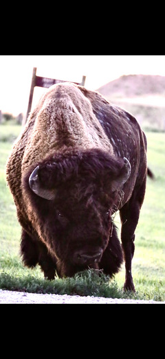 Badlands National Park