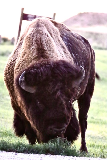 Badlands National Park