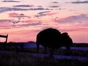 Badlands National Park