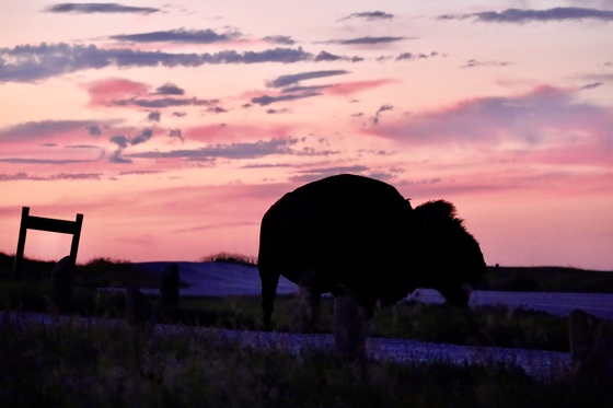 Badlands National Park