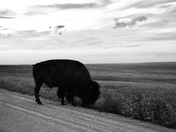 Badlands National Park