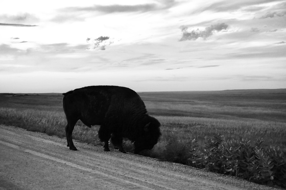 Badlands National Park