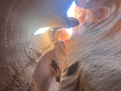 Zion National Park