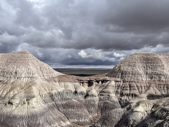 Petrified Forest National Park