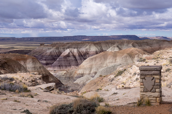 Petrified Forest National Park