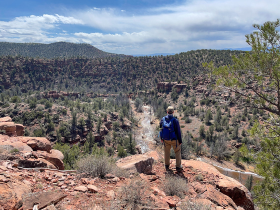Coconino National Forest