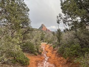 Coconino National Forest