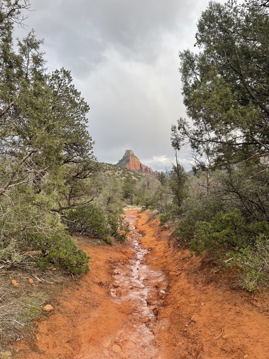 Coconino National Forest