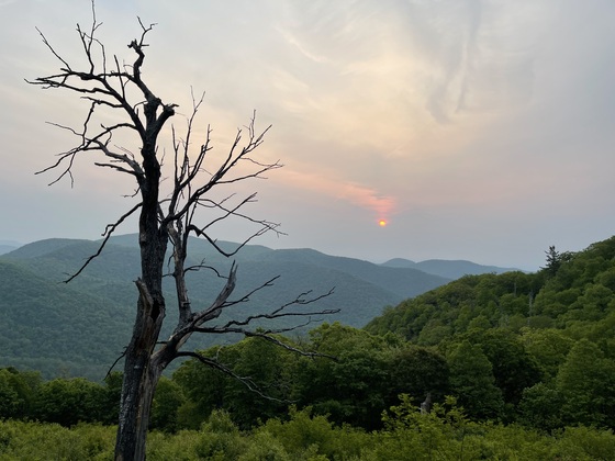 Shenandoah National Park