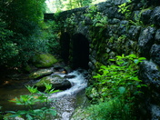 Blue Ridge Parkway