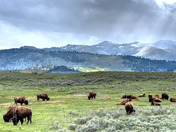 Yellowstone National Park