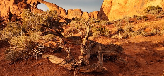 Arches National Park