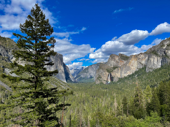 Yosemite National Park