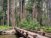 Yosemite National Park