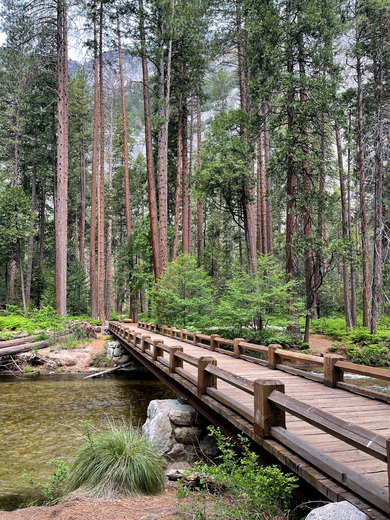 Yosemite National Park