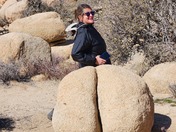 Joshua Tree National Park