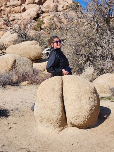 Joshua Tree National Park