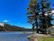 Tenaya Lake, Yosemite National Park