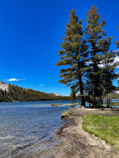 Tenaya Lake, Yosemite National Park