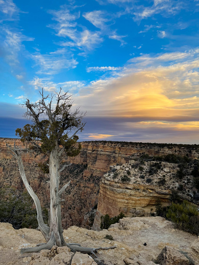 Grand Canyon National Park 