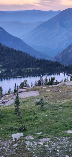 Glacier National Park