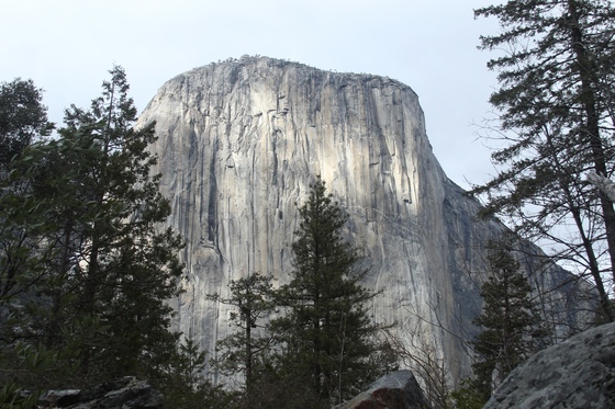 Yosemite National Park
