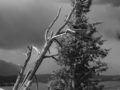 Grand Teton National Park