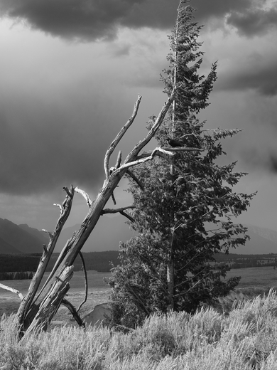 Grand Teton National Park