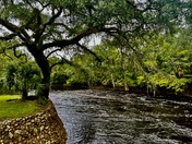 Steinhatchee Falls Florida
