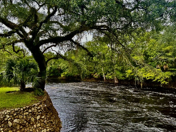 Steinhatchee Falls Florida
