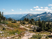 Mt. Rainer National Park