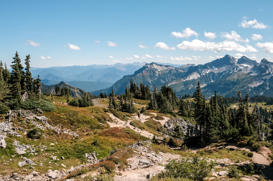 Mt. Rainer National Park