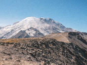 Mt. Rainer National Park