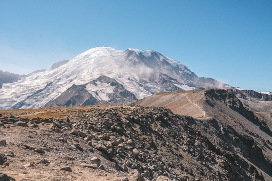 Mt. Rainer National Park